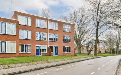 Treubstraat 121