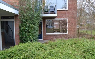 Treubstraat 179