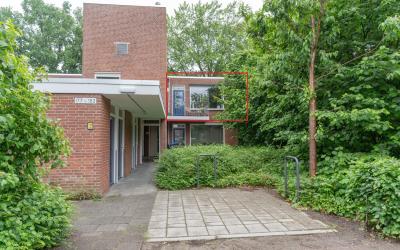 Treubstraat 183