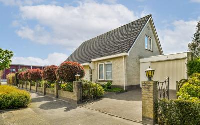 Paardebloem 3