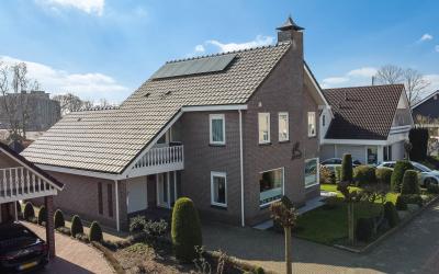 Zwanebloem 4