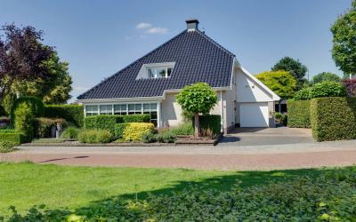 Ridderspoor 1