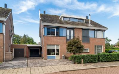Zilverschoon 5
