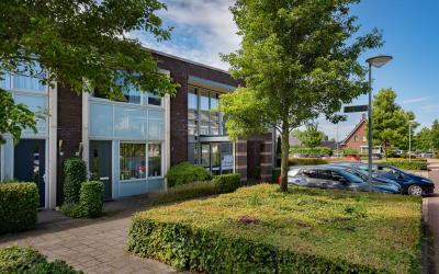 Pijlkruid 10