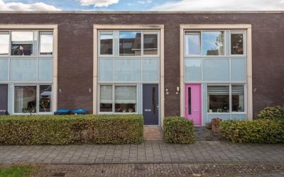 Pijlkruid 16