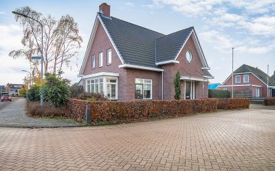 Pijlkruid 8
