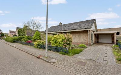 Hortensiast. 6