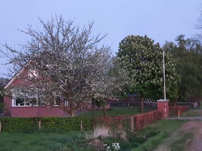 Hondemotsweg 32