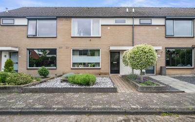 Beukensingel 8