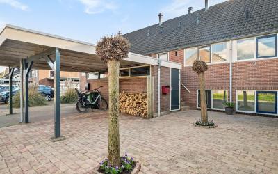 Zwaluw 23