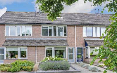 Koekoek 6