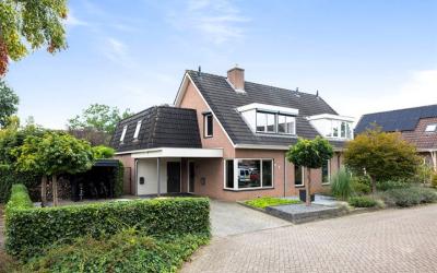 Patrijs 11