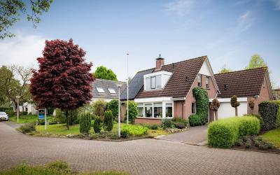 Goudplevier 12