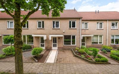 Gieteling 25