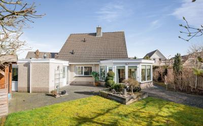 Vink 7