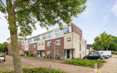 Kemphaan 8