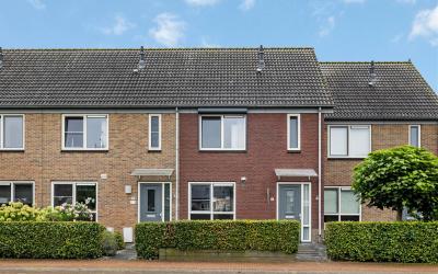 Sleutelbloem 9