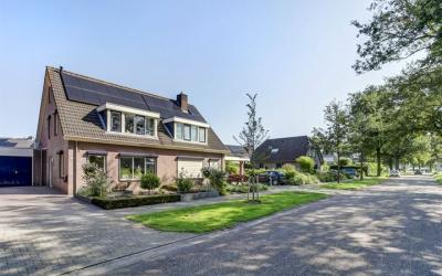 Oude Holter. 11