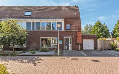 Goudvink 25