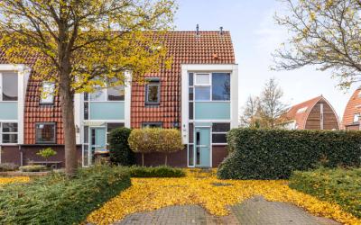 Goudvink 10