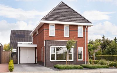Roodborst 2