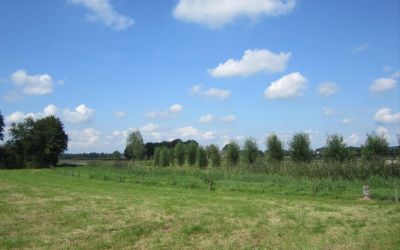 Boxbergerweg 71
