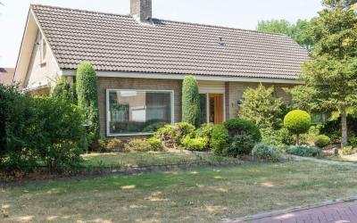 Grote Beuke. 7