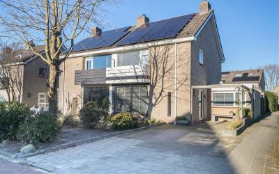 Grote Beuke. 47