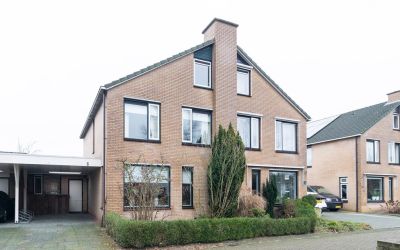 Zwanebloem 6