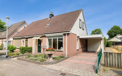 Korenbloem 14