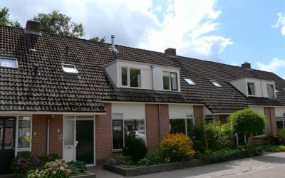 Plataan 4