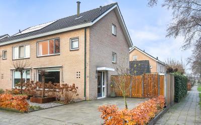 Rozeboom 39