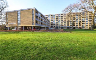 Rozenhof 68