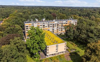 Rozenhof 72