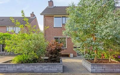 Willem Dree. 105