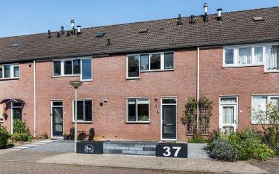 Willem Dree. 37