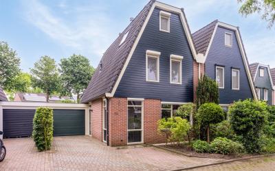 Willem Dree. 32