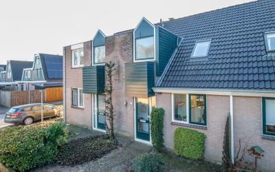 Willem Dree. 251