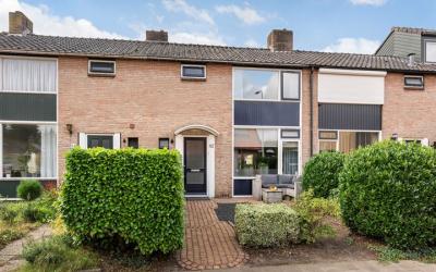Hoge Hagt 82