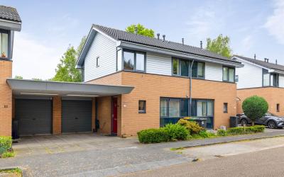 Wildkansel 20