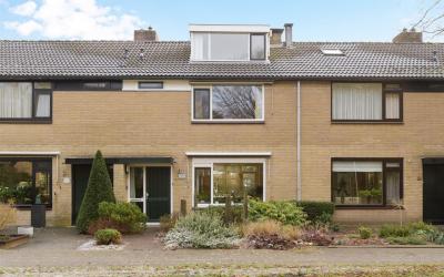 Berkenoord 175