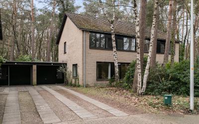 Berkenoord 60