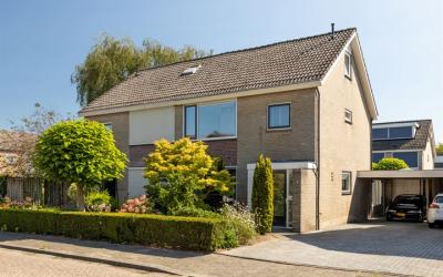 de Haere 3