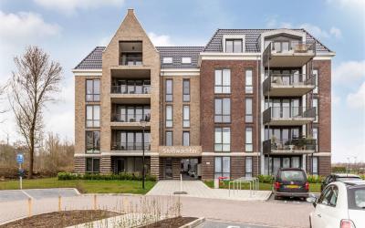 Schieveen 33