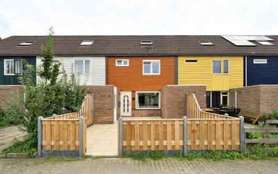 Hollands Di. 80