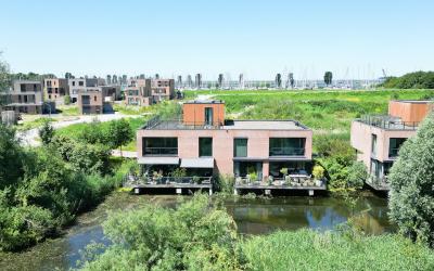 Wetland 4