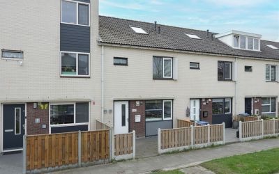 Rijnland 243