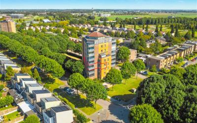 Westerwolde 9