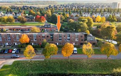 Rijnland 355