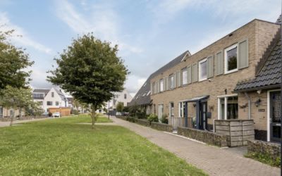 Dotterbloem. 18